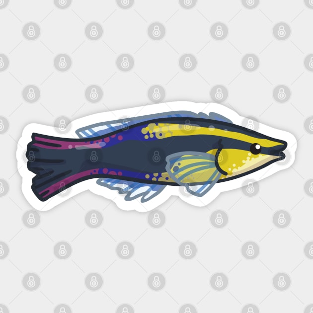 Hawaiian Cleaner Wrasse Sticker by bytesizetreasure